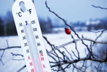 Фотография к новости: Потепление ожидается на большей части страны 17 января 