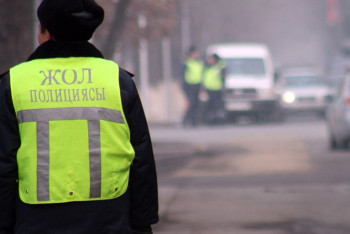 Водителя BMW за оскорбление полицейского хотят привлечь к уголовной ответственности