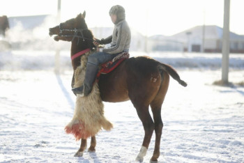 80 тыс тенге выиграл скакун на кокпаре в Атырау
