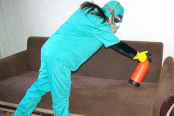 Фотография к новости: Асет Исекешев поручит решить вопрос с клопами в столице