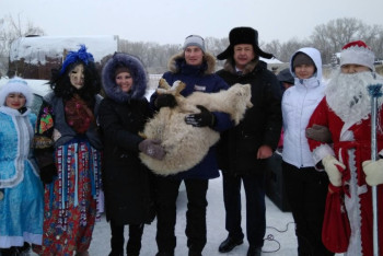 Фотография к новости: В борьбе за козлика сельчане в Прииртышье слепили 38 снеговиков