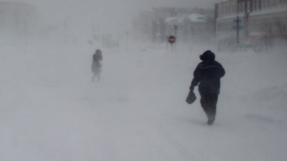 из открытых источников