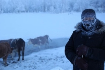 Двух заплутавших в степи пастухов искали костанайские спасатели