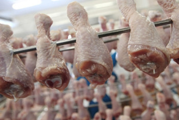 Фотография к новости: В пять раз увеличит Крым поставки мяса птицы в Казахстан 