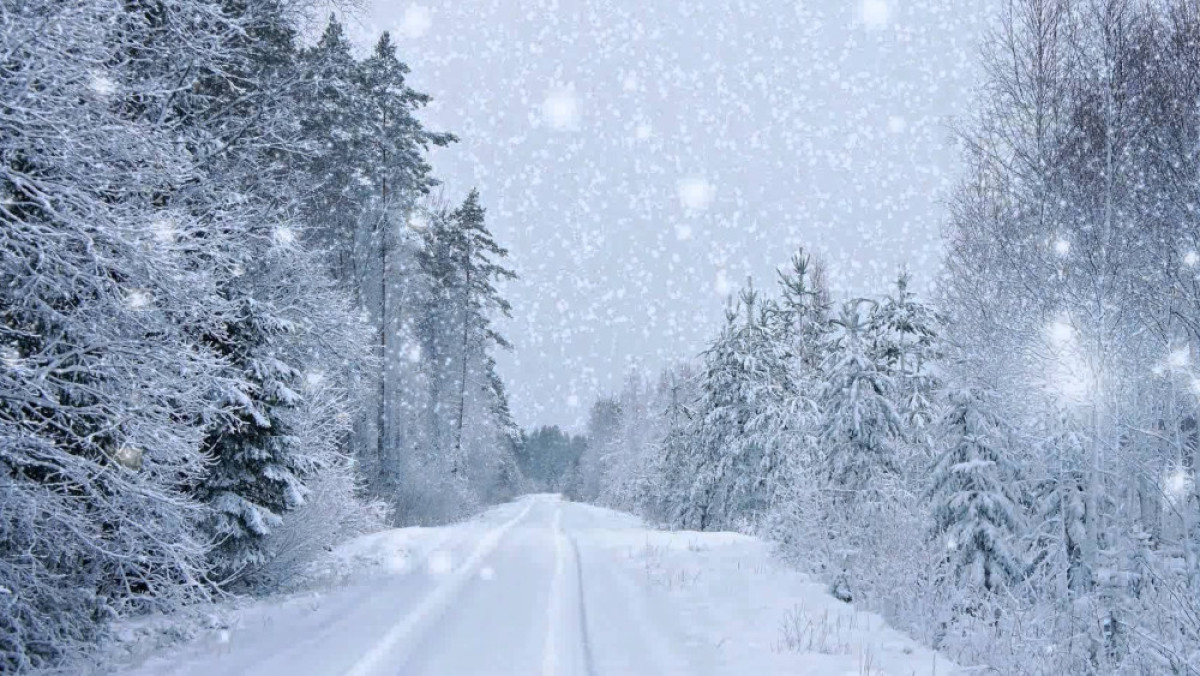 Из открытых источников