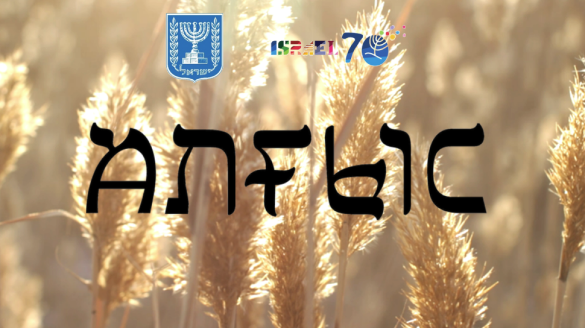 пресс-служба посольства Израиля в РК