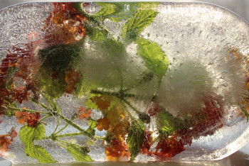 Фотография к новости: Цветы во льду: Школьница из Усть-Каменогорска создает удивительные картины 