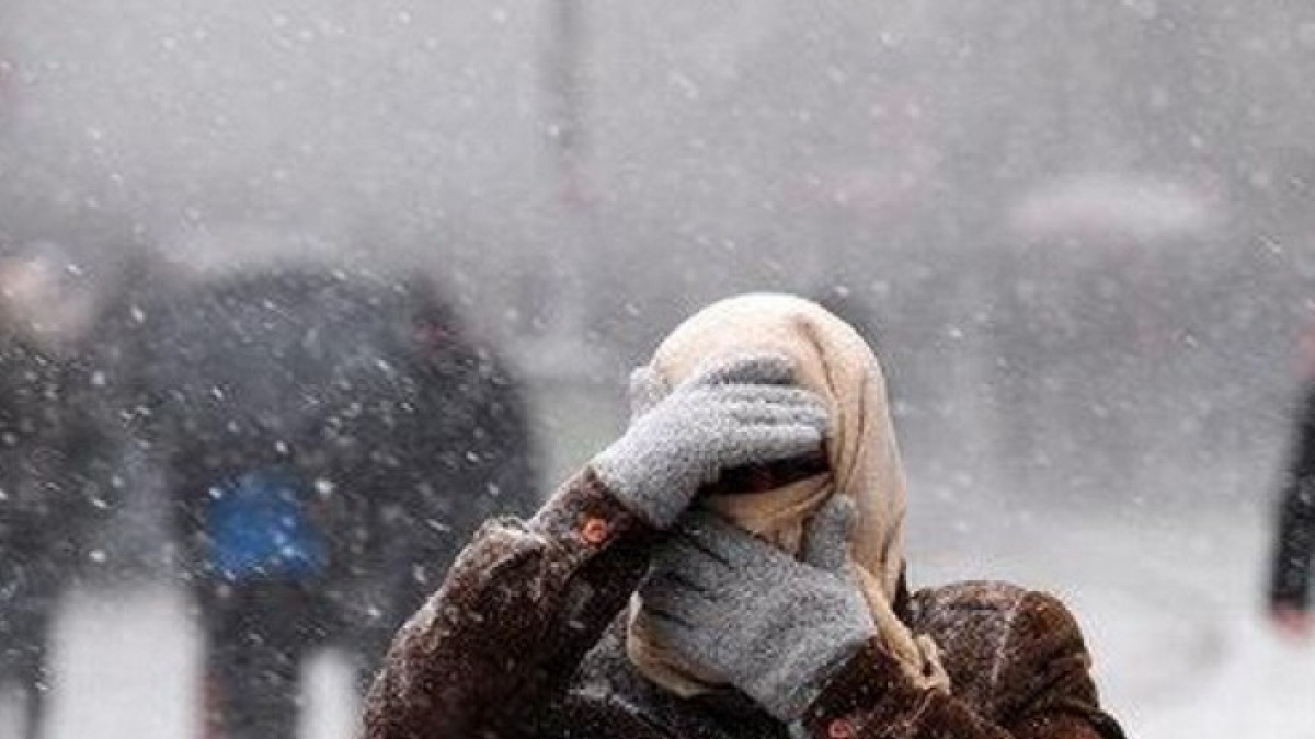 из открытых источников