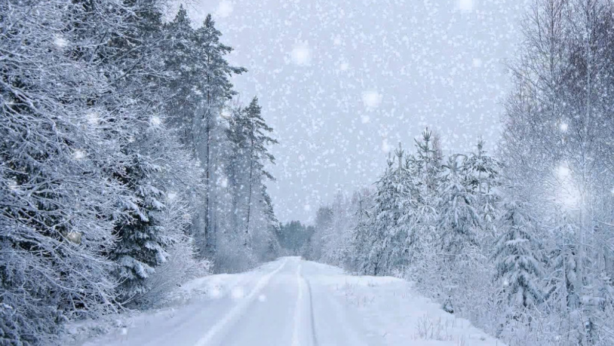 Из открытых источников