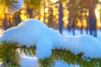 Фотография к новости: Погода без осадков сохранится на большей части Казахстана в субботу 