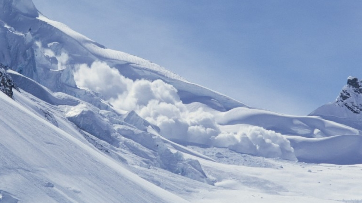 открытые источники