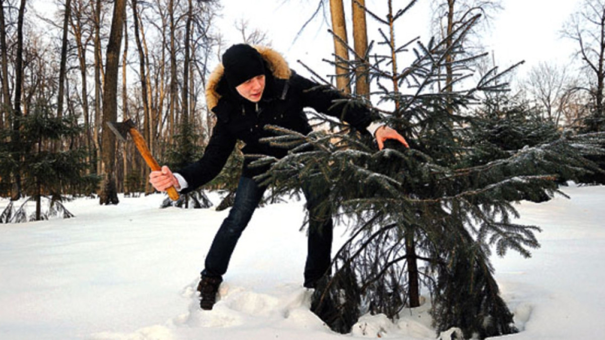 Из открытых источников