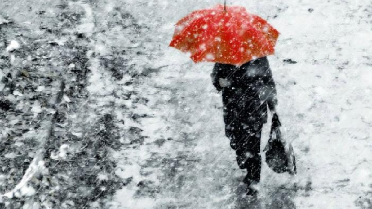 Из открытых источников