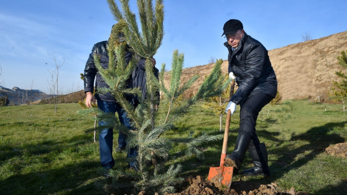 пресс-служба акимата ЮКО