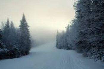 Фотография к новости: Ветер и туман ожидаются в ряде регионов Казахстана 31 декабря