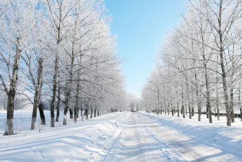 Фотография к новости: Какой будет погода в январе, сообщили синоптики