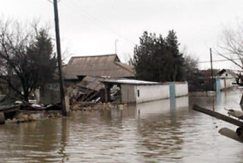 Вышедшую из берегов Сырдарью обнесли стометровым валом