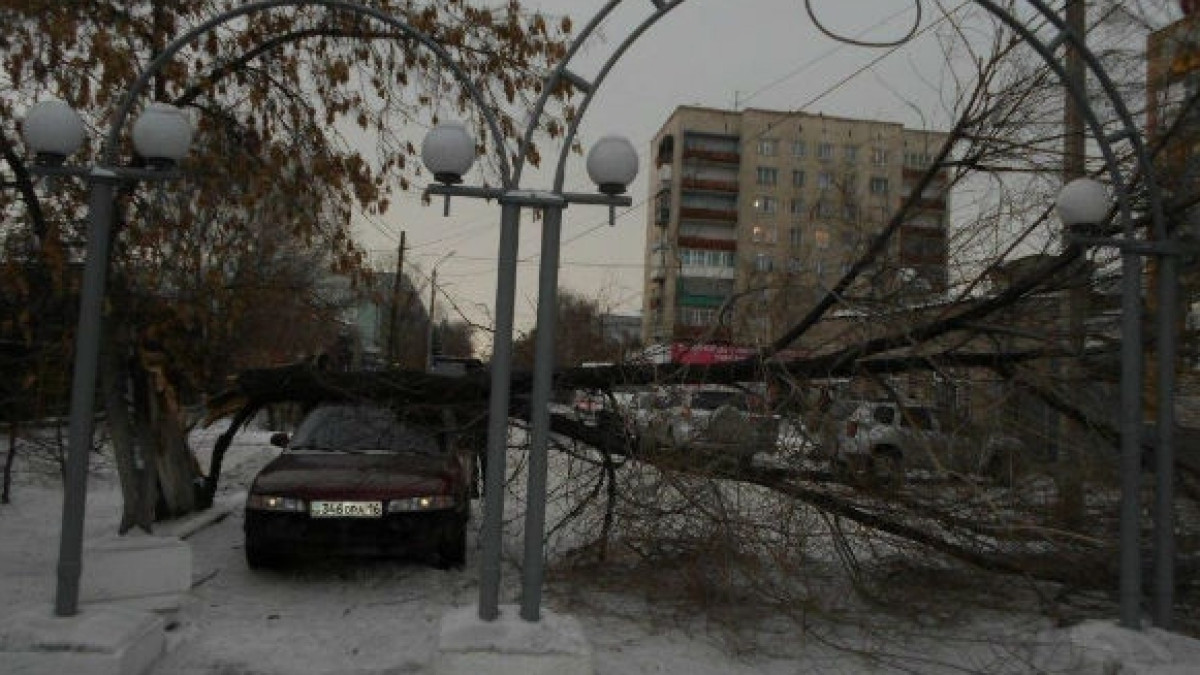 ДЧС ВКО