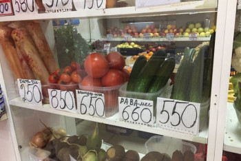 Фотография к новости: В подорожании огурцов и помидоров в Павлодаре обвинили гололед