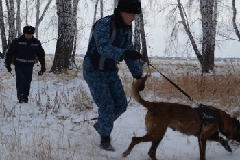 Фотография к новости: Более 800 преступлений раскрыто в СКО с помощью собак в текущем году 