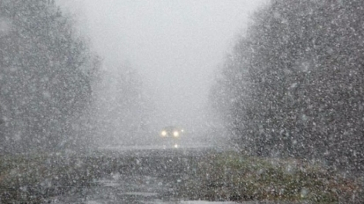 Из открытых источников