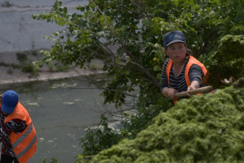 Фотография к новости: Почти 200 тонн мусора собрали на Есиле с начала года