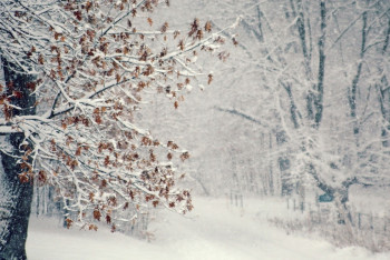 Фотография к новости: Погода без осадков ожидает казахстанцев в пятницу