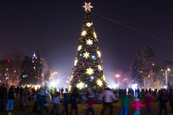 Главную новогоднюю елку зажгли в Алматы