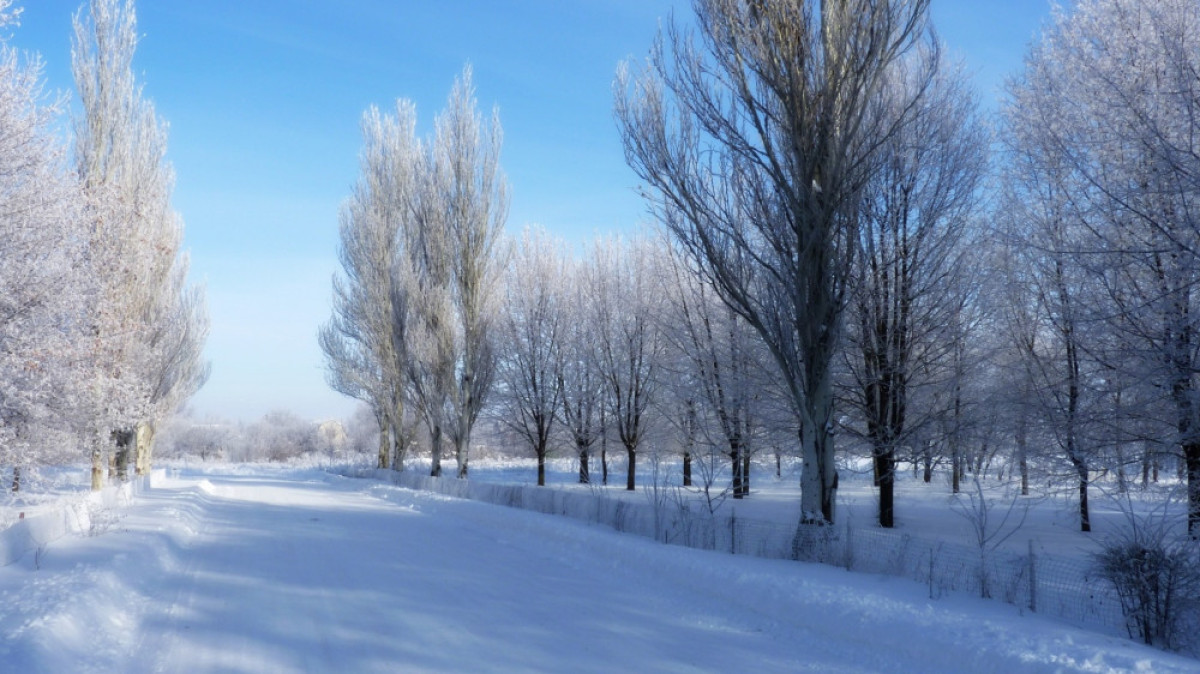 Из открытых источников