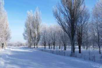Фотография к новости: Погода без осадков ожидает казахстанцев на День Независимости 