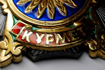 Фотография к новости: Погибших при крушении самолета под Алматы врачей наградили посмертно