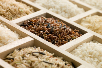 Сорта риса для детского питания внедрят в севооборот в Кызылорде