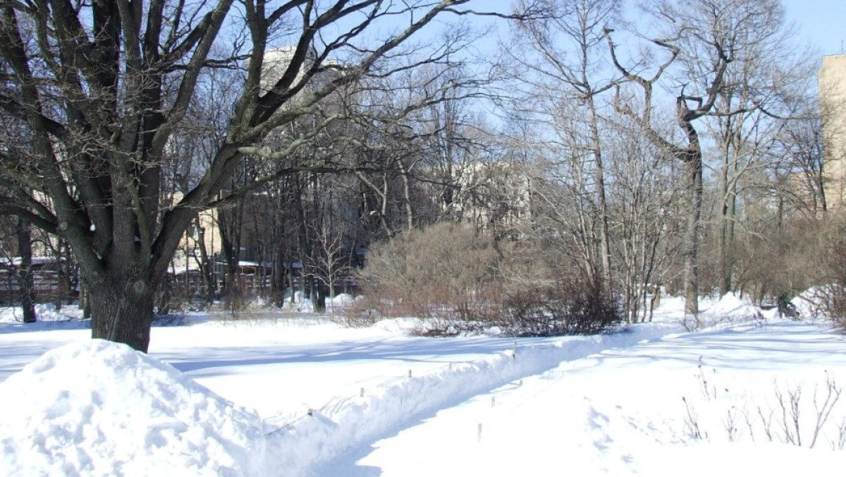 Из открытых источников