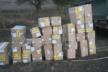 Три тонны бесхозного товара обнаружено в арыках на МЦПС «Хоргос»