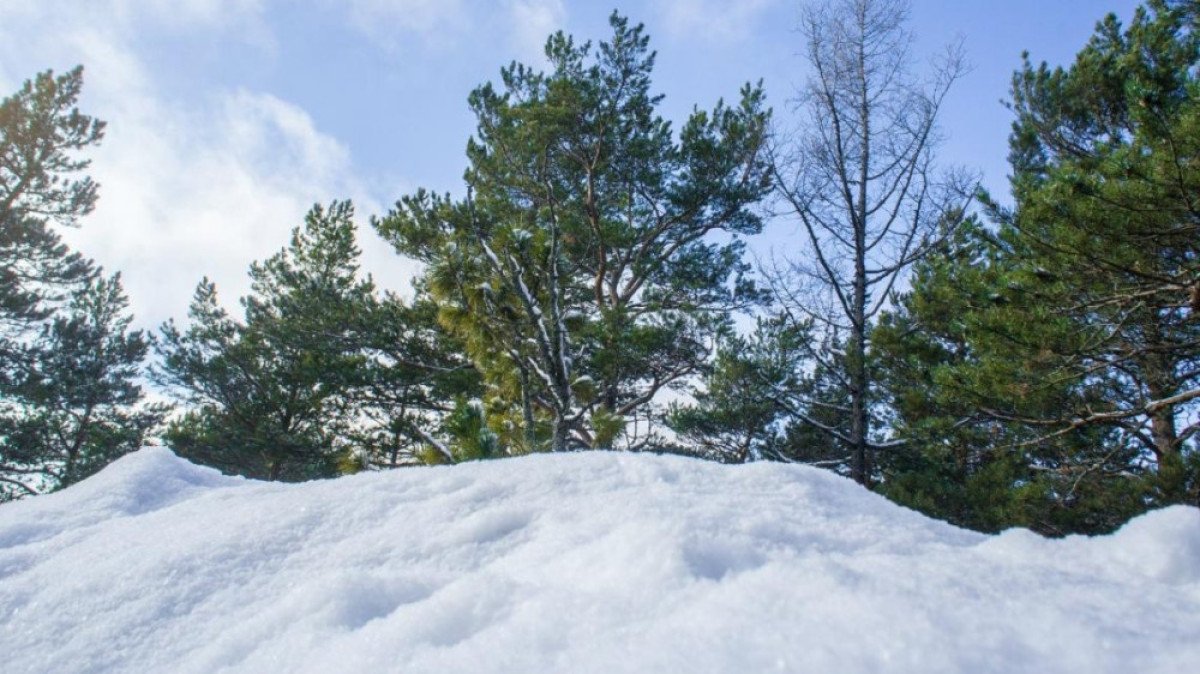 Из открытых источников