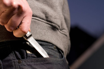 Фотография к новости: Избиение алматинки на набережной взято на контроль руководства ДВД 