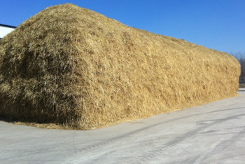 Фотография к новости: Бумагу, удобрения и биогаз будет производить новый завод в Акмолинской области