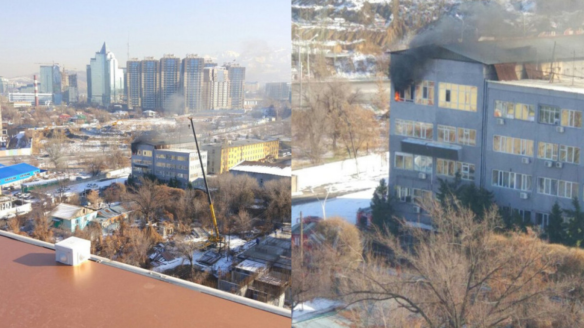коллаж BNews.kz