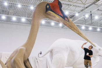 Фотография к новости: National Geographic определило лучшие снимки 2017 года