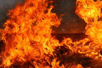 Фотография к новости: На побережье озера Алаколь произошел пожар