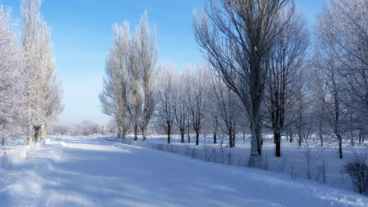 Из открытых источников