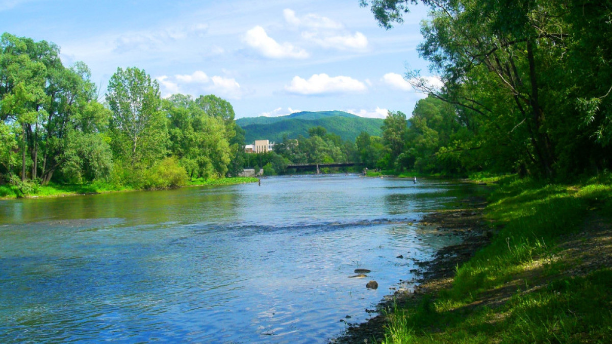 из открытых источников