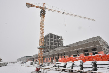 Сухое молоко из кумыса и шубата начнут производить в ЮКО