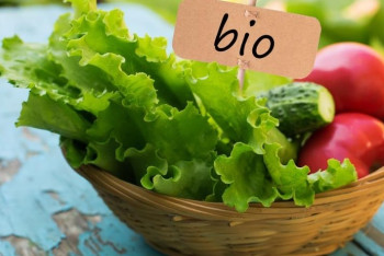 Возможно ли органическое будущее у Казахстана