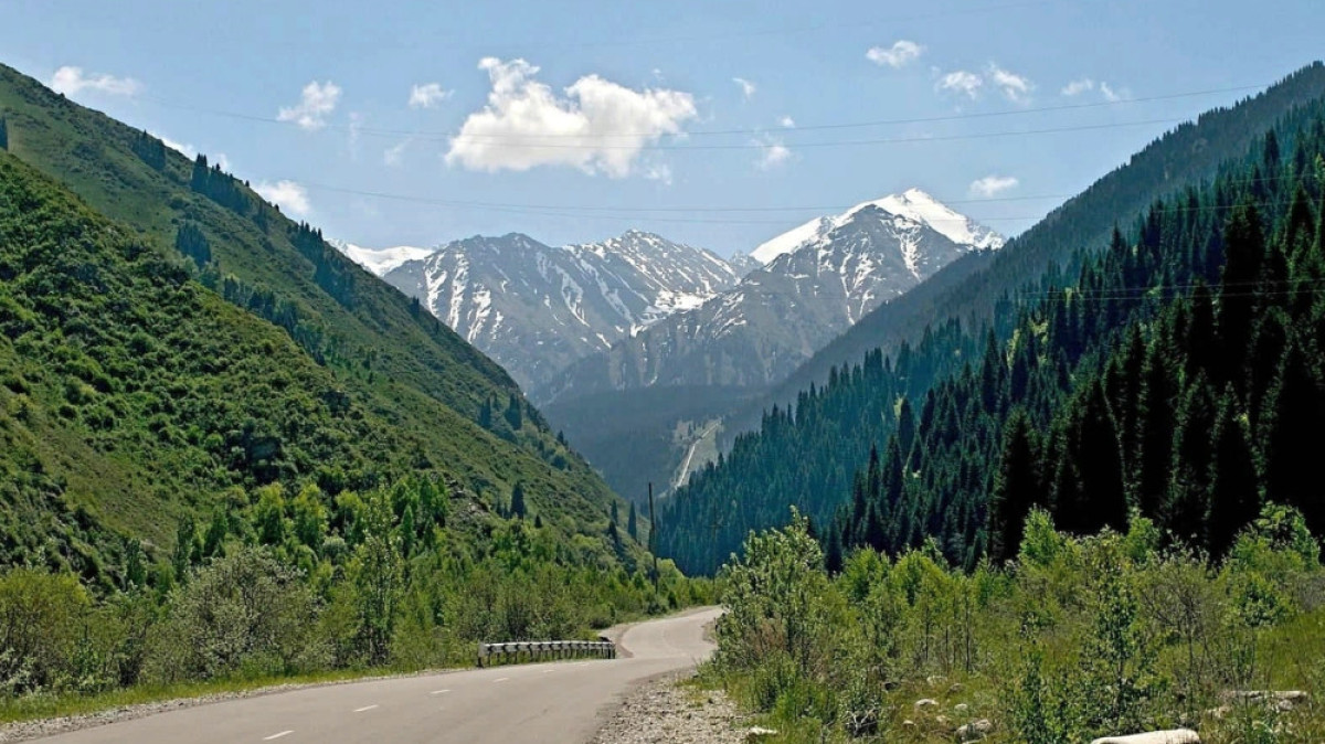 из открытых источников