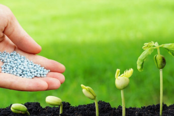 Фотография к новости: Аграриям предлагают самим покупать пестициды, а не зависеть от Минсельхоза