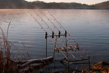 Фотография к новости: Ловить рыбу сетями запретили на водохранилищах близ Астаны