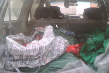 Фотография к новости: Старшего инспектора «Ертис орманы» накажут за отстрел лося и косули в Павлодаре