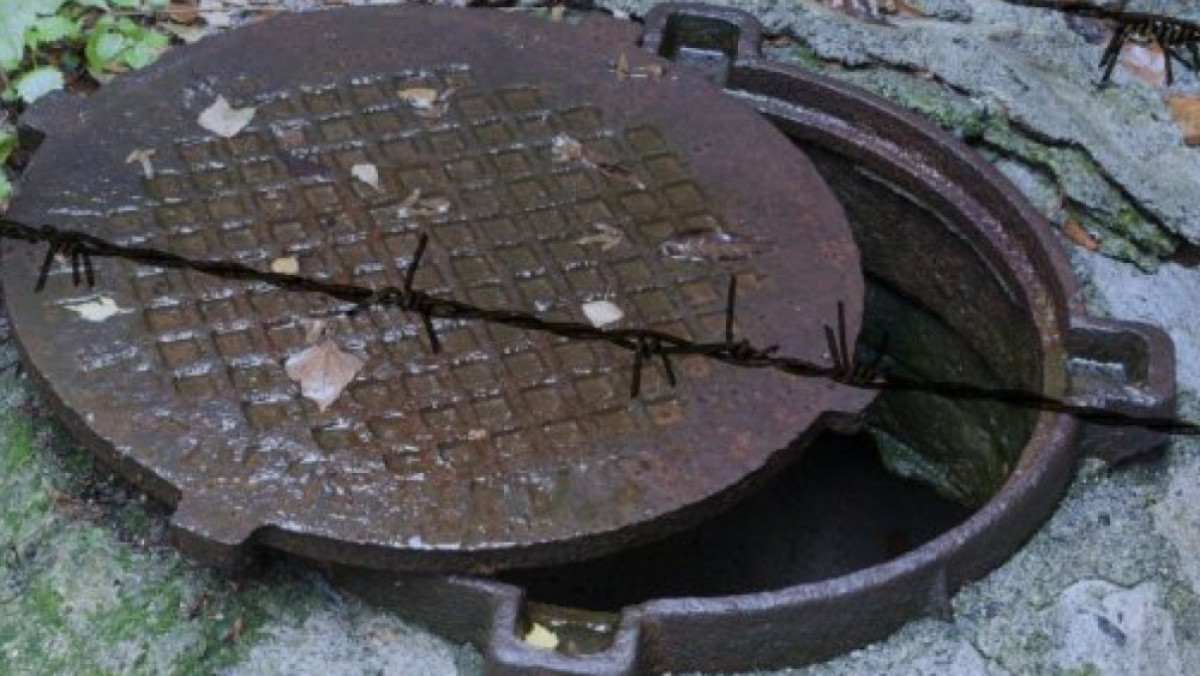 из открытых источников