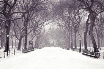 Фотография к новости: Ветер и осадки ожидают казахстанцев 2 декабря